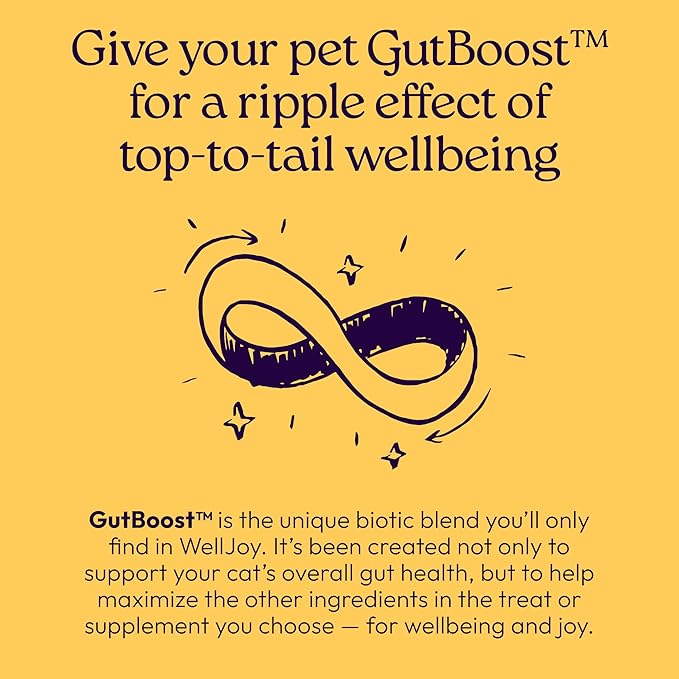 New! WellJoy Cat Supplement Immune+ GutBoost | Cat Health Supplement | with Lysine | Enhances Immune Response | Dual-Benefit Formula | Vet Formulated | Made in USA | Chicken Flavor | 90 Soft Chews