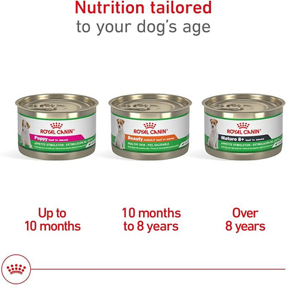 Royal Canin Canine Health Nutrition Mature 8+ Loaf in Sauce Dog Food, 5.2 oz (Pack of 24)