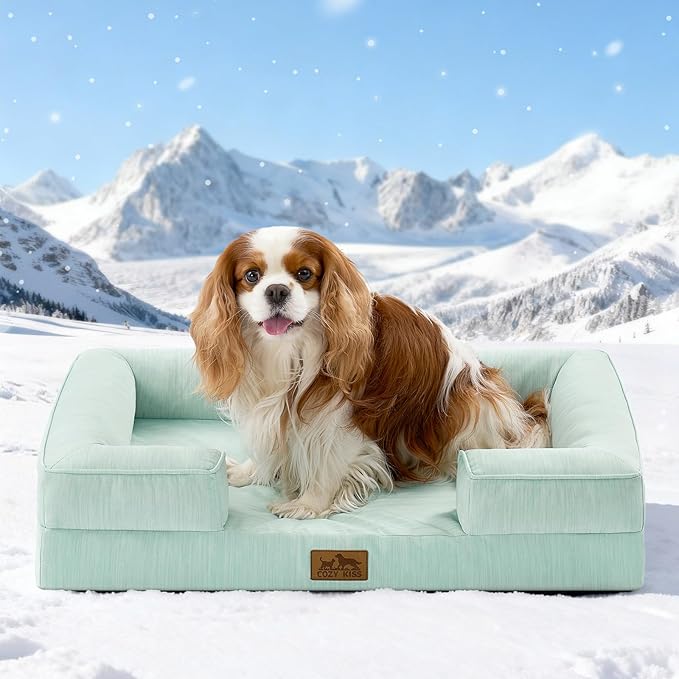 COZY KISS Cooling Dog Bed for Medium Small Size Dogs, Q-Max >0.4 Summer Cool Orthopedic Foam Pet Sofa Bed with Sides, Bolster Anti-Slip Couch with Washable Removable Cover, M 30x20x6 inch, Green