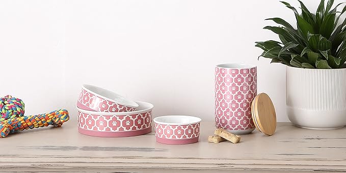 Bone Dry Lattice Collection Pet Bowl & Canister, Small Set, 4.25x2 inches, Rose, 2 Piece
