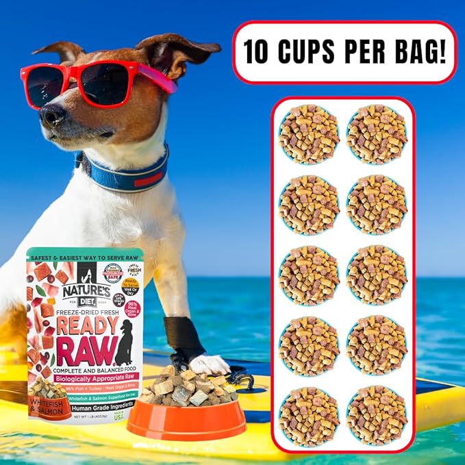 Nature's Diet Ready Raw : Freeze-Dried Raw Dog Food, Salmon & Whitefish, Human Grade, High Pressure Pasteurized (HPP), 96% Meat, Organ, Bone, Safe & Natural, Dry or Wet Feeding