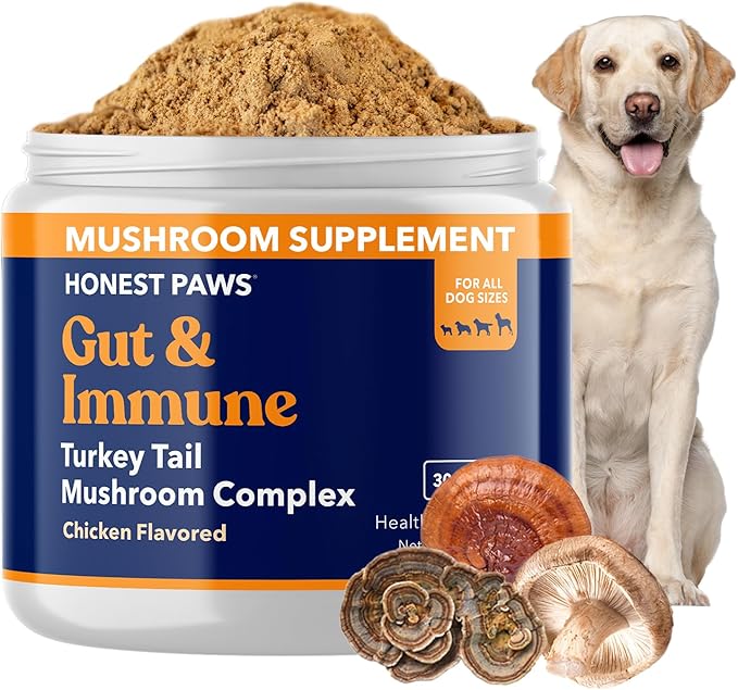 Honest Paws Turkey Tail Mushroom for Dogs - Digestive and Immune Support - Shiitake, Reishi, Maitake Mushroom Supplement Powder for Dogs - No Filler, No Additives - (30 Scoops)