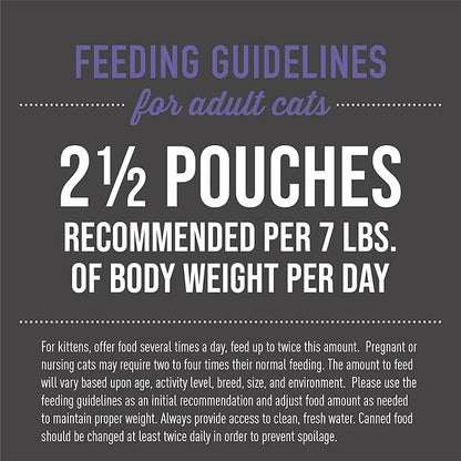 Tiki Cat Aloha Friends, Chicken, Pumpkin & Egg, Grain-Free & High Moisture, Wet Cat Food for All Life Stages 2.5 oz. Pouch (12 Count)