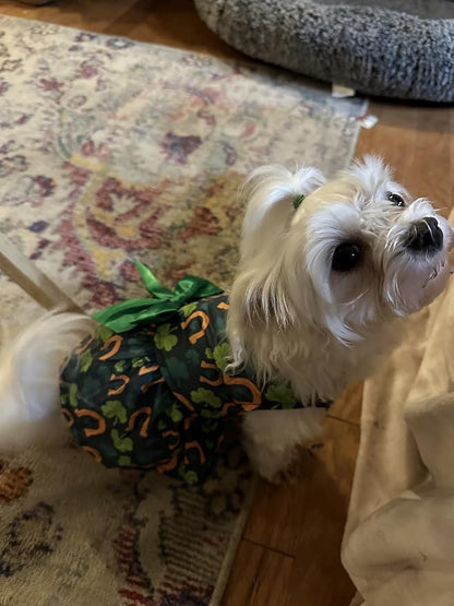 St. Patrick's Day Dog Costume Dress S, Green Shamrock and Horseshoe Print with Satin Bow, Pet Outfit for 6-7 lbs Dogs and Cats, Festive Holiday Apparel