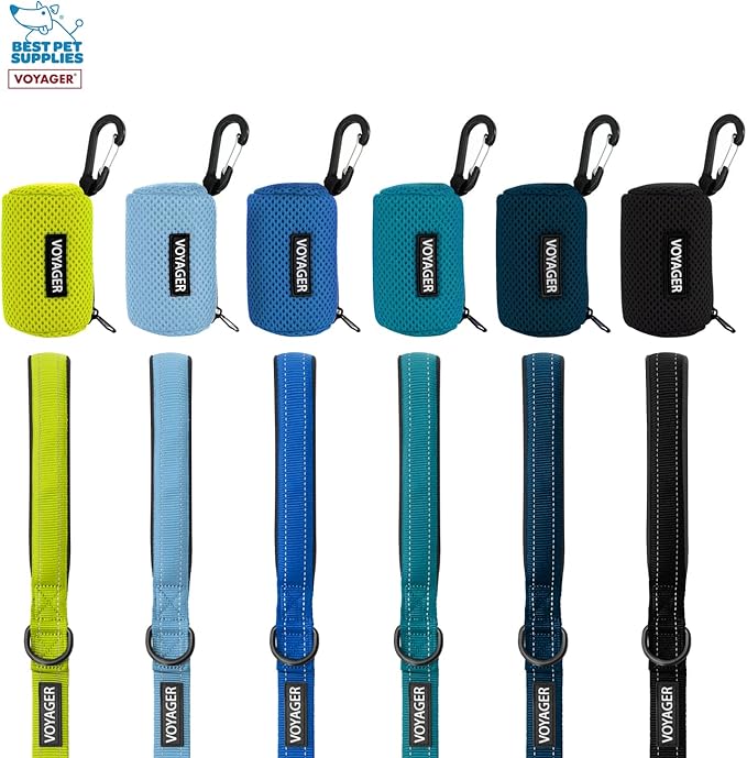 Best Pet Supplies 2-Pack Dog Poop Bag Holder Leash Attachment, Color, Reusable Mesh Dispenser Pouch for Travel, Walking, Park, and Outdoor Use, Soft and Durable with Clip-On - Mesh Turquoise