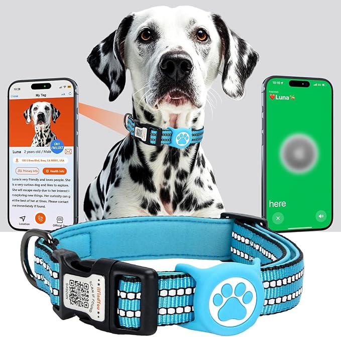 AirTag Dog Collar for Small Dogs, IP68 Waterproof Air Tag Dog Collar with Apple AirTag Holder, Reflective, Padded Lining, QR Code Personalized Dog Tags (Blue, Small)