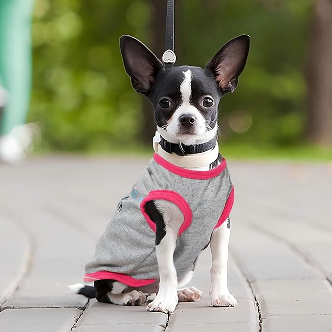 4 Pack Dog Shirts for Small Dogs Spring Summer Printed Puppy Clothes Cute Pet T Shirts Dog Clothes for Small Dogs Cats Girl (Grey+Pink+Purple,Black, XS)