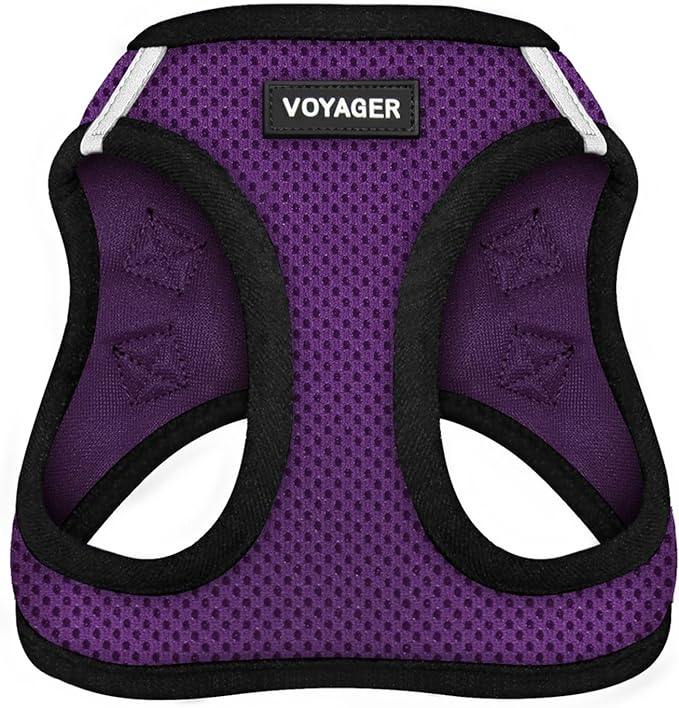 Best Pet Supplies Voyager Step-in Air Harness - All Weather Mesh, Reflective, No Pull Harness for Dogs, Cats - Secure with Hook & Loop Fastener, Buckle, Double D-Rings - Purple/Black Trim, XS