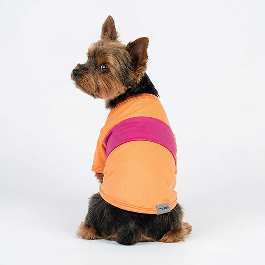 Fitwarm 3 Pack Color Block Striped Dog Shirt, Summer Dog Clothes for Small Dogs, Breathable Lightweight Dog Tshirt, Pet Outfit, Pink, Orange, Purple, Small