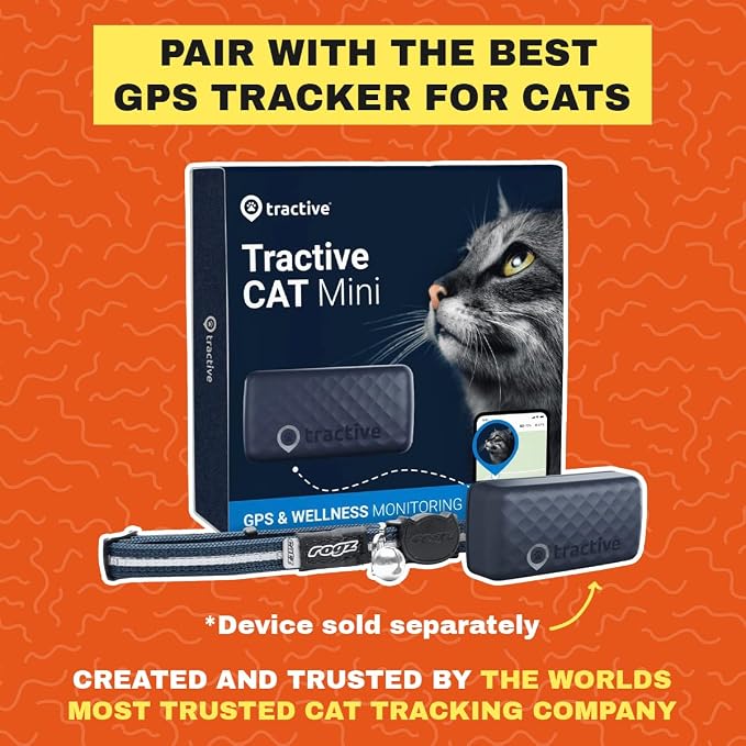 Travel CAT The Pathfinder Cat Harness with GPS Tracker Pocket - Powered by Tractive Cat Harness Escape Proof - Walking Escape Proof Harness for Small, Large Cat, Kitten (Blue, Large)
