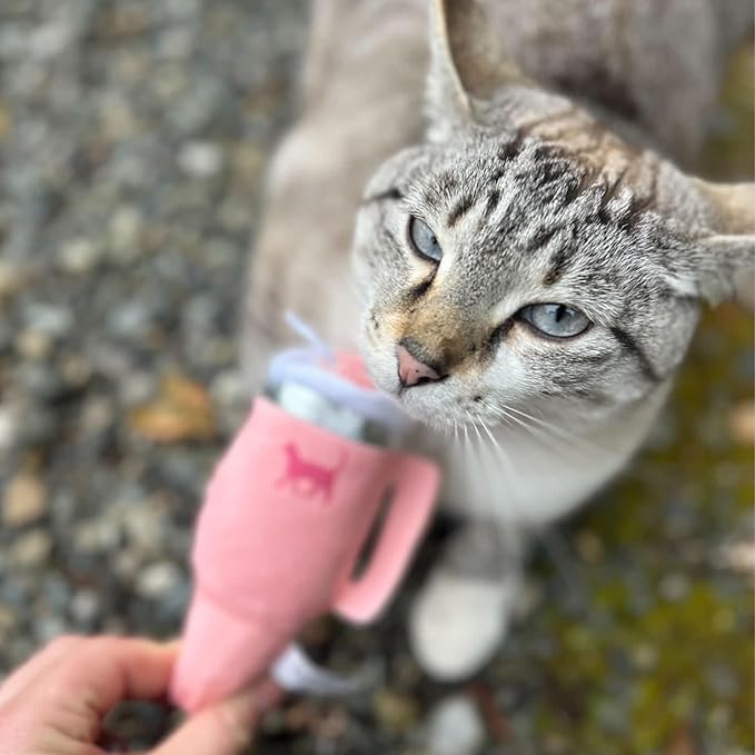 PUPROAR Kitty Cup Catnip Toy - Easter & Birthday Cat Gift Toy with Catnip & Crinkle, Funny Gift for Girl Indoor Kitten (Chambray Blue)
