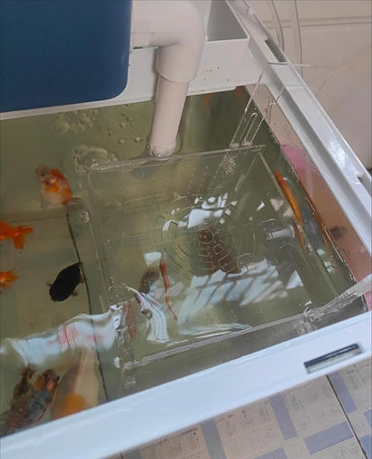 AWXZOM Acrylic Fish breeding Box, Acrylic Fish Isolation Box, Fish Separator for Aquarium, Hatchery Incubator with Suction Cups for Small Baby Fishes Shrimp Clownfish Guppy (5.9 * 5.9 * 5.9inch)