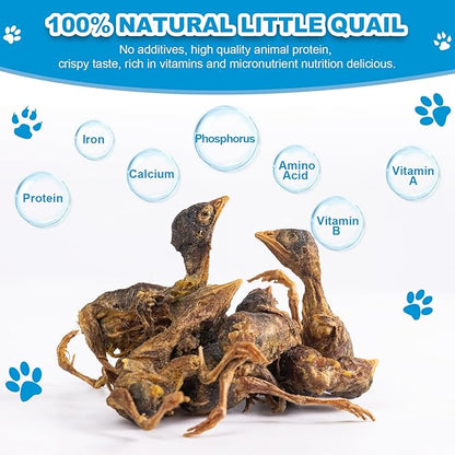 Dylan's cabin Freeze Dried Little Quail - Single Ingredient Cat and Dog Treats Natural Animal Protein Healthy Tasty Snacks for Training (85g)