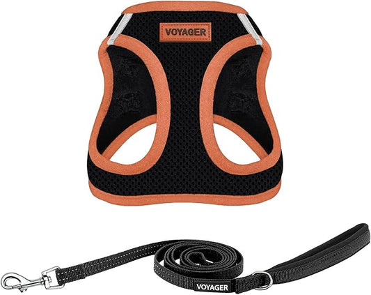Best Pet Supplies Voyager Step-in Air All Weather Mesh Harness and Reflective Dog 5ft Leash Combo with Neoprene Handle, for Small, Medium and Large Breed Puppies - Set (Black/Orange Trim), Large