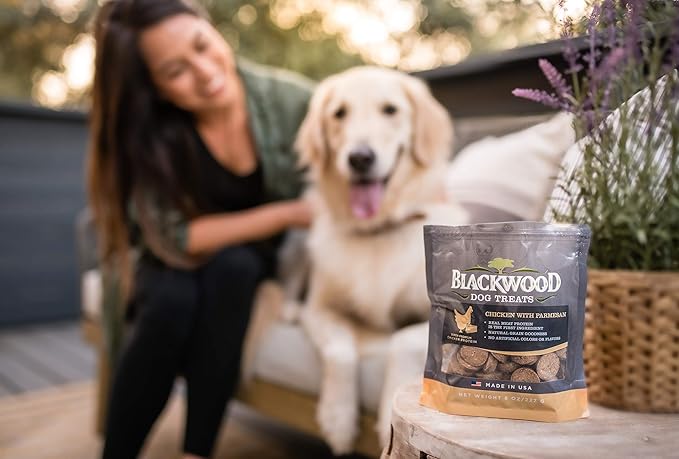 Blackwood Oven Baked Dog Treats, Chicken with Parmesan, 8 Ounce Pouch, Training Treats for All Life Stages and Breed Sizes (Pack of 2)