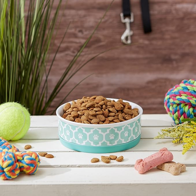 Bone Dry Lattice Collection Pet Bowl & Canister, Single Dish, Medium 6x2", Aqua