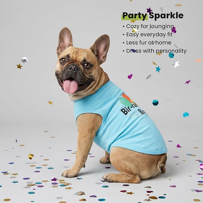 Fitwarm Birthday Boy Dog Shirt, Bir-Ruff-Day Boy Funny Dog Clothes for Small Dogs Boy, Pet Birthday Outfit, Cat Tshirt, 100% Breathable Cotton, Aqua Blue, Large