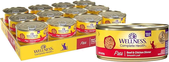 Wellness Complete Health Pate Adult Canned Wet Cat Food, Natural, Protein Rich, Grain Free, Beef and Chicken Dinner Recipe, 5.5 oz, Pack of 24 Cans