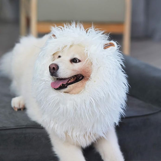Onmygogo Lion Mane Wig for Dogs with Ears, Funny Pet Costumes for Halloween Christmas