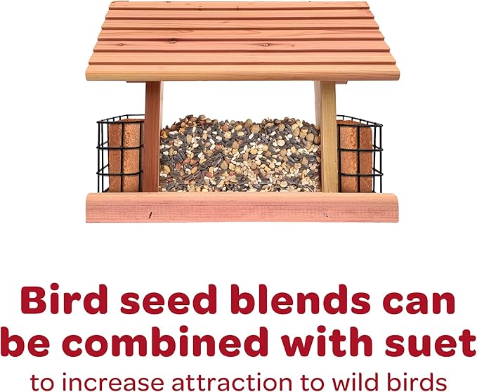 Kaytee Wild Bird Songbird Seed Treat Bell