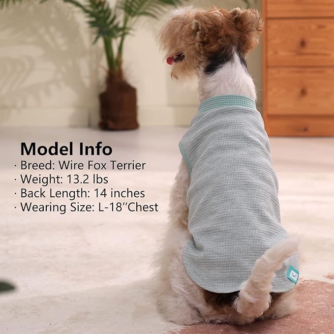 KYEESE 2Pack Waffle Dog Shirts, Lightweight Sleeveless Dog T Shirts for Small Dogs Boy Girl, Breathable Pet Vest Comfortable Tank Top Soft Dogs Clothes for Daily Wear, Green+Grey, M