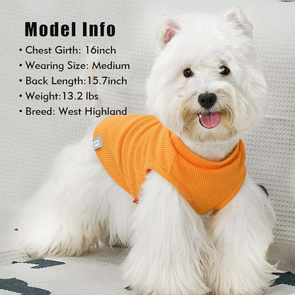 KYEESE 2Pack Waffle Dog Shirts, Lightweight Sleeveless Dog T Shirts for Small Medium Dogs Boy Girl, Breathable Pet Vest Comfortable Tank Top Soft Dogs Clothes for Daily Wear, Orange+Striped, XL