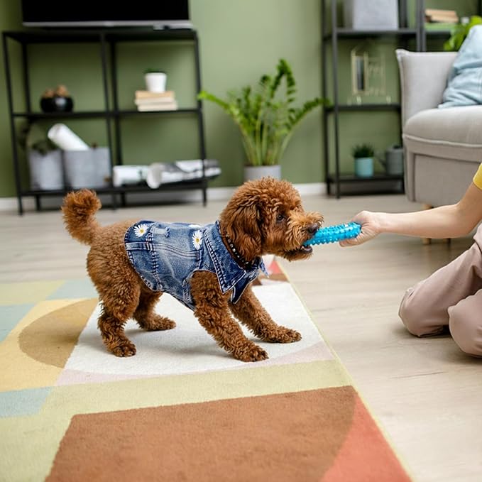 Pawstrip Dog Denim Jacket with Embroidered Daisy, Ripped Vintage Jean Vest for Small Dogs, Pugs, Chihuahuas, Spring Summer Fall Festival Outfit, XXL (Fits Chest 19-20.5", NOT for Large Dogs)