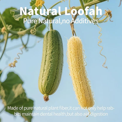BESNEW Rabbit Chew Toys,100% Natural Loofah Without Additives,Bunny Chew Toys for Teeth,Fiber-Rich Rabbit Treats for Bunny Chinchilla Dogs