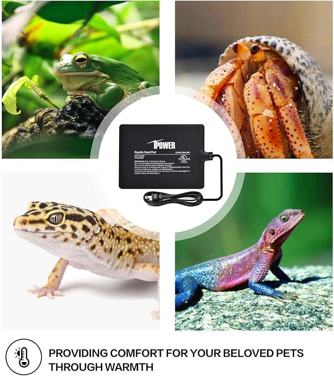 iPower 6 by 8-Inch 8 Watt Reptile Heat Pad Under Tank Terrarium Warmer Heat Mat for Small Animals