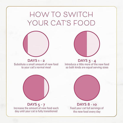 Fancy Feast Purina Filet Mignon Flavor with Real Seafood & Shrimp Dry Cat Food (7 Pound (Pack of 1))