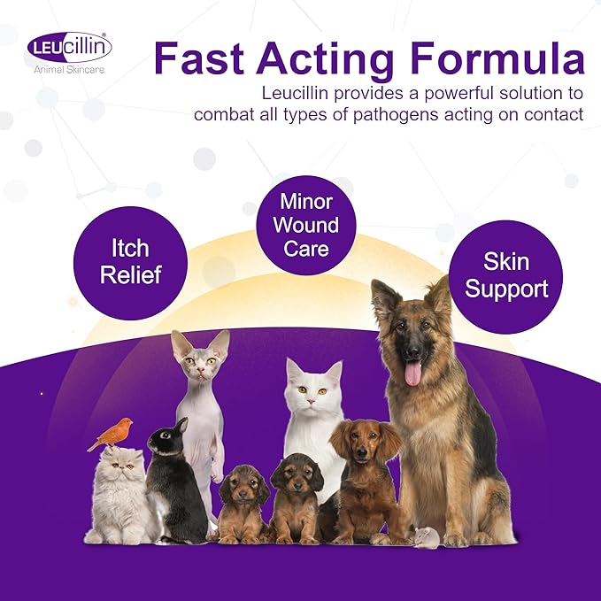 Leucillin Natural Antiseptic Dropper for Dogs, Soothes Itchy Skin and Promotes Healing, Effective Treatment for Dogs, Wound and Skin Care Solution for Pets, First Aid Kit Essential - 50ml