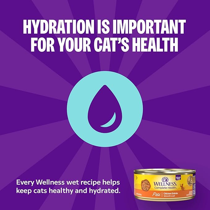 Wellness Complete Health Pate Adult Canned Wet Cat Food, Natural, Protein Rich, Grain Free, Turkey Dinner Recipe, 3 oz, Pack of 24 Cans