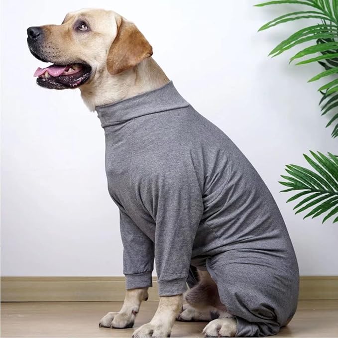 Xqpetlihai Dog Onesie Surgery Recovery Suit for Medium Large Dogs Recovery Shirt for Abdominal Wounds or Skin Diseases Bodysuit Dogs Pajamas((G,XXXL))