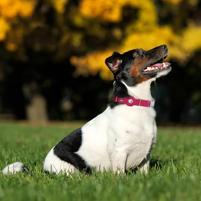 AirTag Dog Collar for Small Medium Large Breed - Adjustable Cute Pattern Dog Collar with Airtag Holder - Soft Leather Tracker GPS Apple Air Tag Pet Collars (Medium, 14"-18" Neck Fit, Striped)