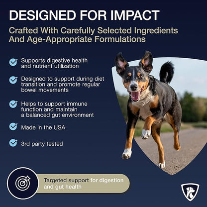 Nutraregen Digestive Senior Dog Probiotic Powder 30 Scoops | Beef Flavored Dog Probiotics for Digestive Health, Supports Gut Health, Scratching, Itchy & Dry Skin, Allergies 2.1 Oz | 7 Bn CFU