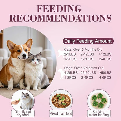 Dylan's cabin Freeze Dried Chicken Cat & Dog Treats - High Protein Spinach Paw with Slamon Training Kitten Snack or Puppy Treats for Coat Gut Healthy, 14pcs