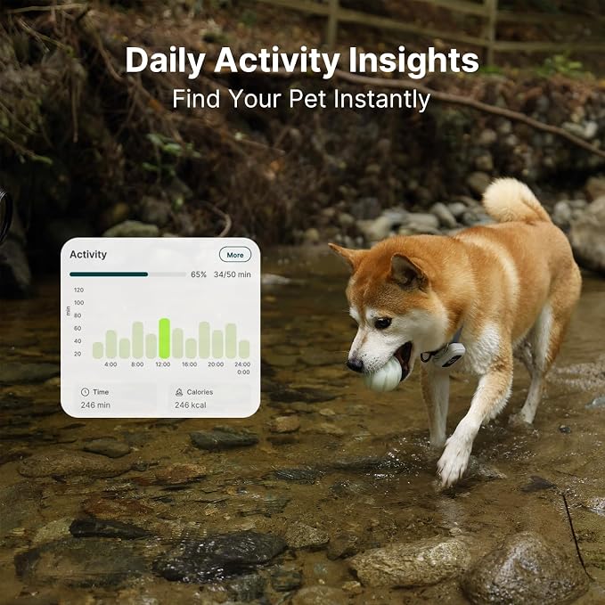 ABBIDOT GPS Dog Tracker - Real-Time Pet Tracker with Virtual Fence, Activity Monitor, Location History, Health Monitor, 3-Mode Light, Waterproof & Rechargeable GPS Tracker for Dogs with APP Support