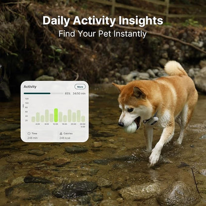 ABBIDOT GPS Dog Tracker - Real-Time Pet Tracker with Virtual Fence, Activity Monitor, Location History, Health Monitor, 3-Mode Light, Waterproof & Rechargeable GPS Tracker for Dogs with APP Support