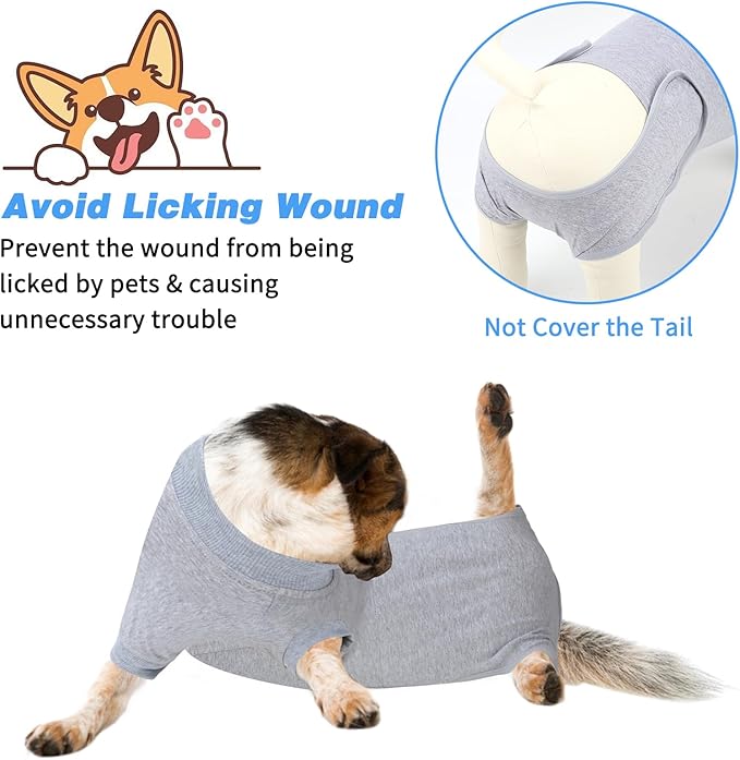 2 Packs Breathable Cotton Dog Recovery Suit for After Neuter Spay Abdominal Wounds Protector, Professional Anti-Licking Onesies for Male Female Pets Surgery Bandages, M Grey Blue Pure