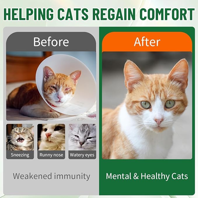 L-Lysine for Cats, Cat Lysine Supplement for Immune Support, Feline Respiratory, Sneezing, Runny Nose, Eye Function, Natural Strengthen Defenses, Chicken Flavor 60 ML