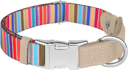 AirTag Dog Collar for Small Medium Large Breed - Adjustable Cute Pattern Dog Collar with Airtag Holder - Soft Leather Tracker GPS Apple Air Tag Pet Collars (X-Large, 20"-25" Neck Fit, Serape)