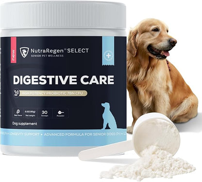Nutraregen Digestive Senior Dog Probiotic Powder 30 Scoops | Beef Flavored Dog Probiotics for Digestive Health, Supports Gut Health, Scratching, Itchy & Dry Skin, Allergies 2.1 Oz | 7 Bn CFU
