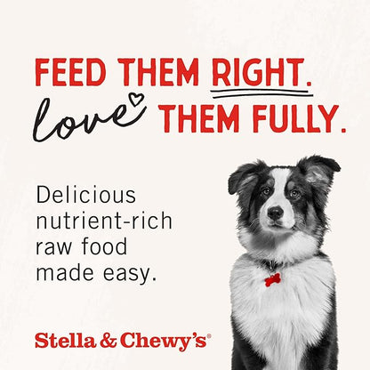 Stella & Chewy's Freeze-Dried Raw Beef Meal Mixers- Dog Food Topper and Mixer - Made with 95% Grass-Fed Beef, Organs & Bone - Perfect for Picky Eaters - Grain-Free - 1 oz