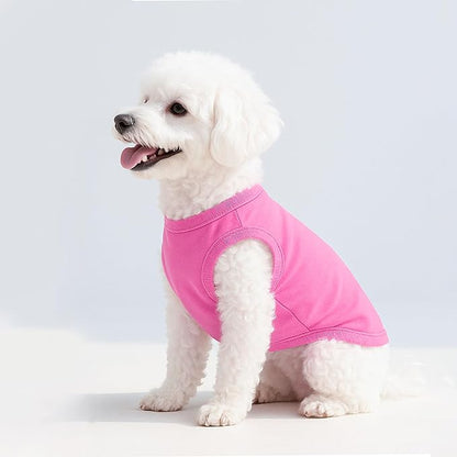2 Pieces Dog Clothes for Small Dogs Girl Boy Spring Summer Soft Puppy Shirt Solid Color Chihuahua Clothes Pet Clothing Cute Cat Cloth XXS~M (Rose,Purple, X-Small)