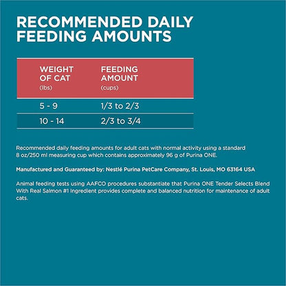 Purina ONE Natural Dry Cat Food, Tender Selects Blend with Real Salmon - 22 lb. Bag