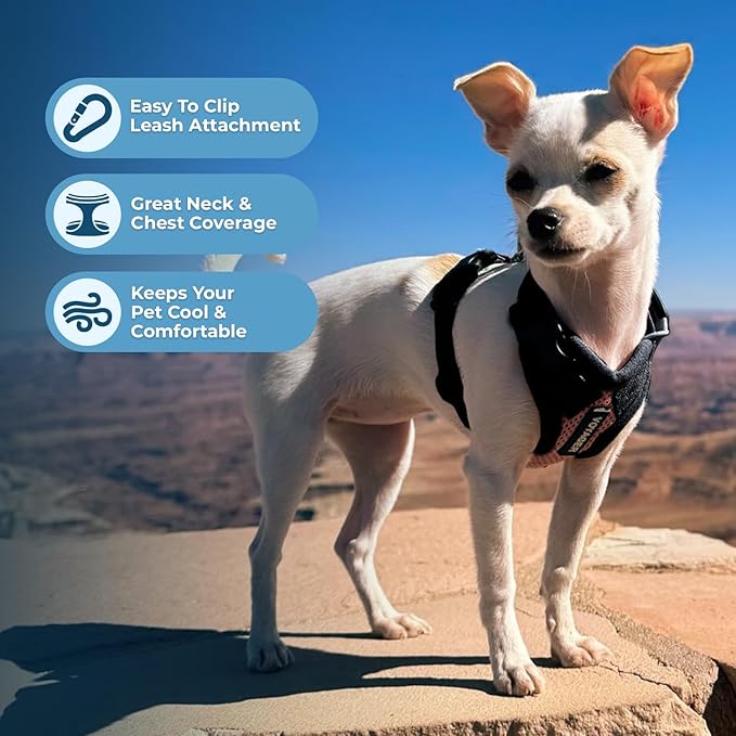 Voyager Step-in Pet Harness - All Weather Mesh, Adjustable Step in Harness for Cats and Dogs by Best Pet Supplies - Pink/Black Trim, XL