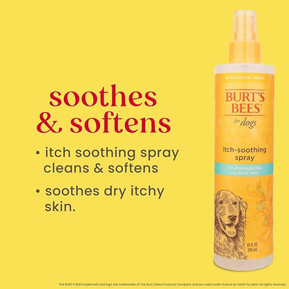 Burt's Bees for Pets Anti Itch Dog Spray with Honeysuckle and Honey, Waterless Grooming Mist for Dry Flaky Skin, Dog Itch Relief Between Baths, Natural Origin Coat Care for Dogs, 10 Fl Oz - 6 Pack