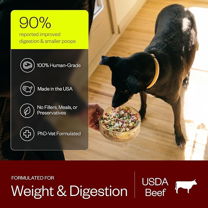 Maev Human-Grade Beef Dog Food, Weight & Digestion Formula, Whole Ingredient, Gluten-Free, High Protein Puppy & Dog Food, 30 lb