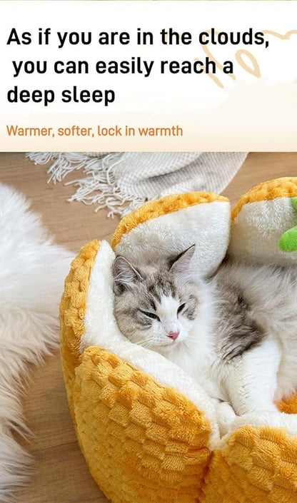 Pumpkin Cat Bed Large Capacity Pet Mat Warm Cat and Dog Bed Four Seasons Universal Pet Bed Autumn and Winter Dog Mattress Suitable for Small and Medium Cats and Dogs to Sleep Soundly (L)