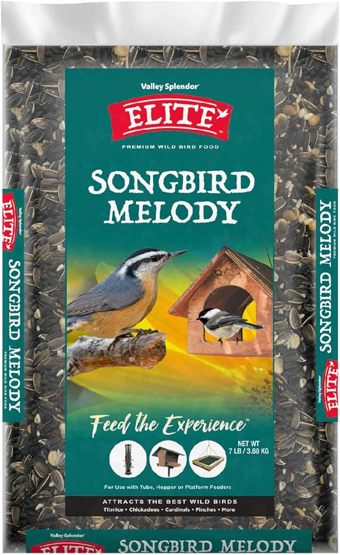 Songbird Melody